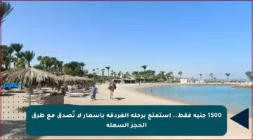 1500 جنيه فقط.. استمتع برحلة الغردقة بأسعار لا تُصدق مع طرق الحجز السهلة